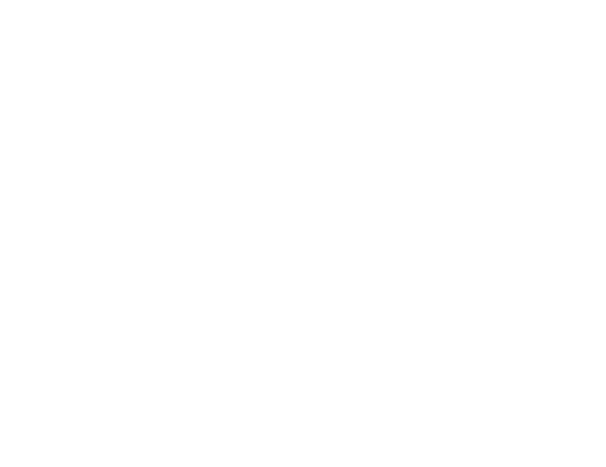 Google Partner