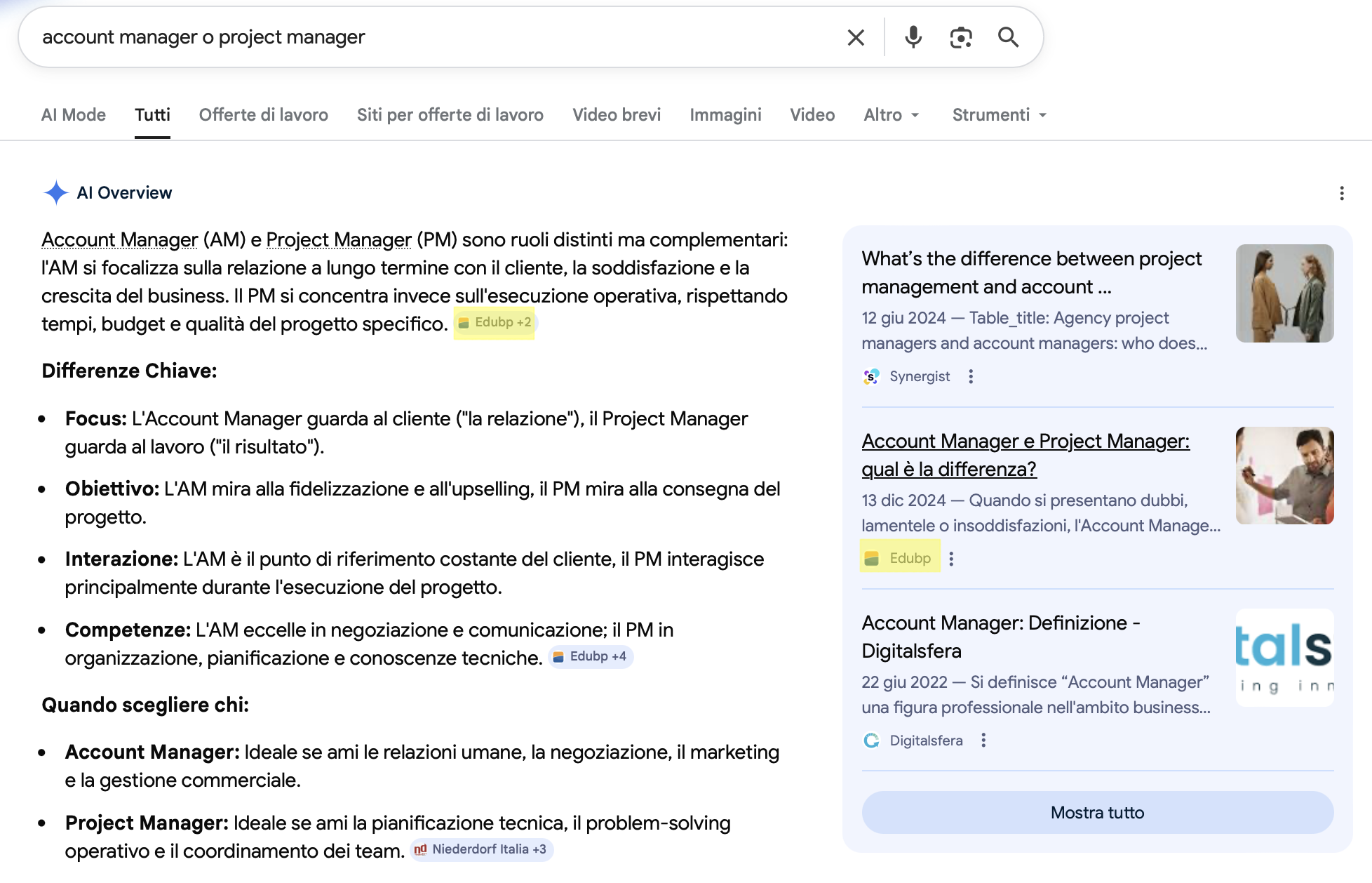 account-manager-o-project-manager-ai-overview-edubp