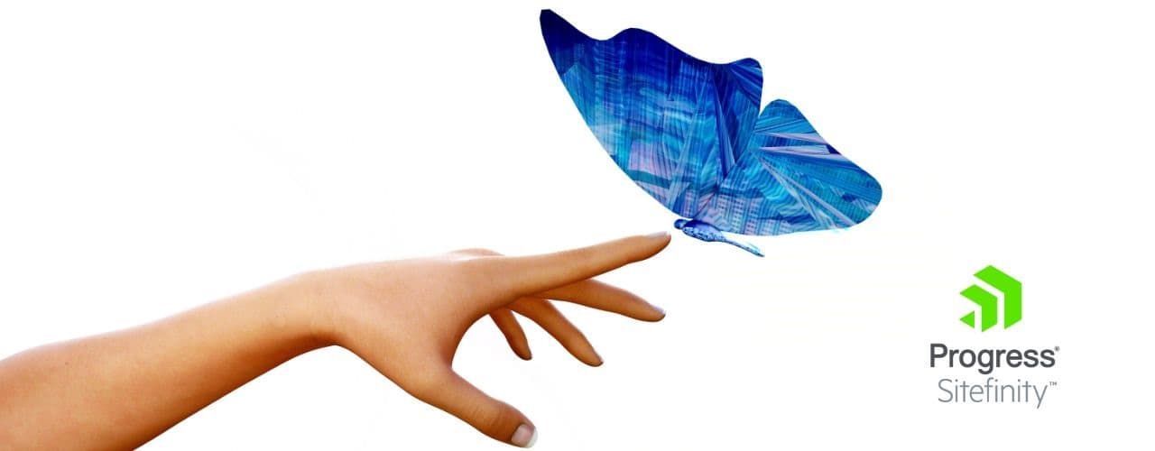 Ancora con il CMS? Iniziamo a pensare in grande, pensiamo DXP